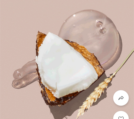 Conditioner For Dry Hair with Organic Wheat & Coconut
